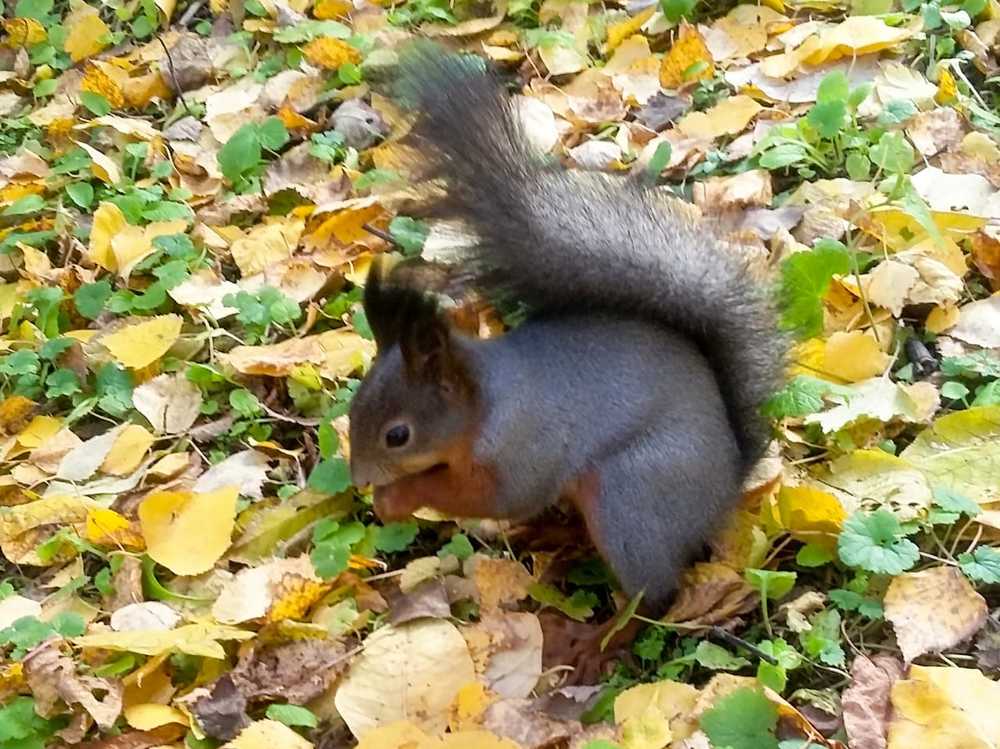 Photograph by Вера Боркунова