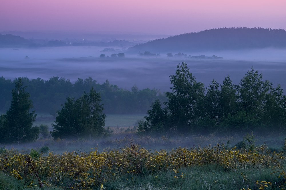 Укутано сном
