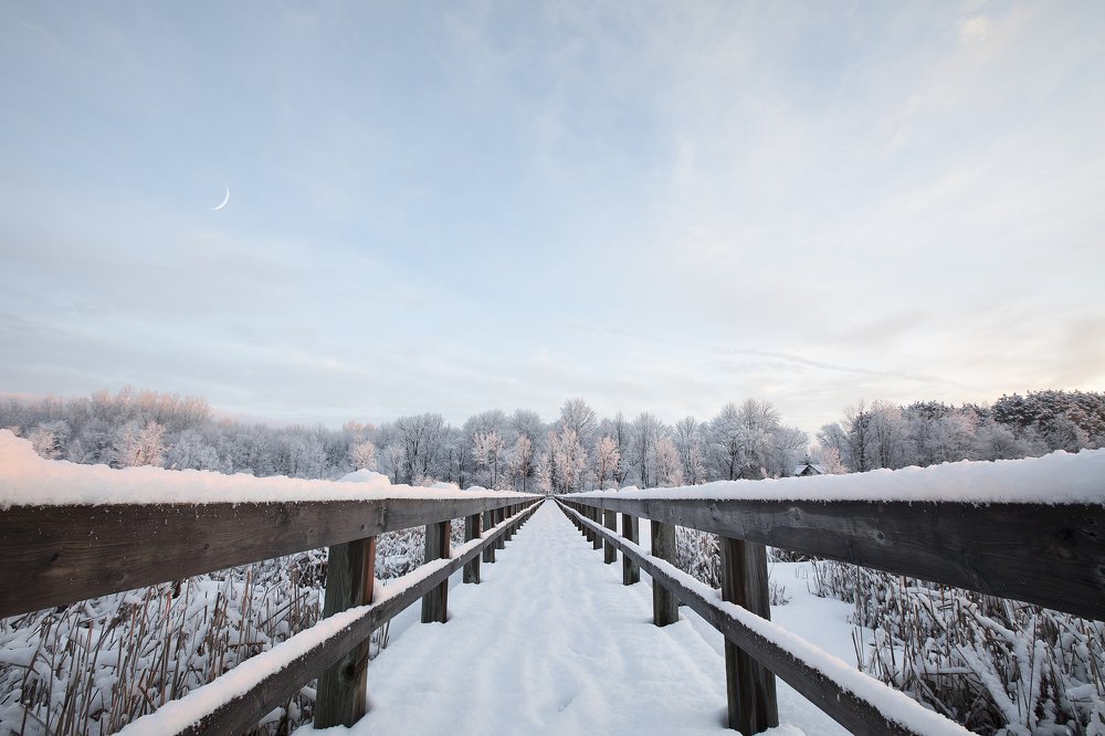 Photograph by Steve Joh