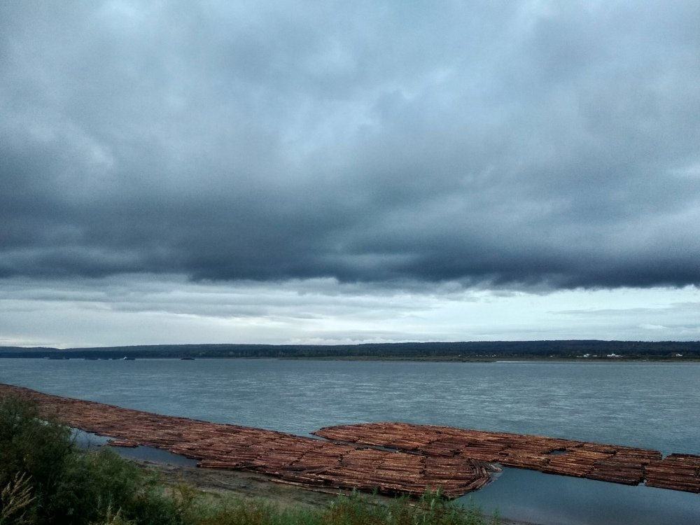 Сплав древесины по реке Енисей