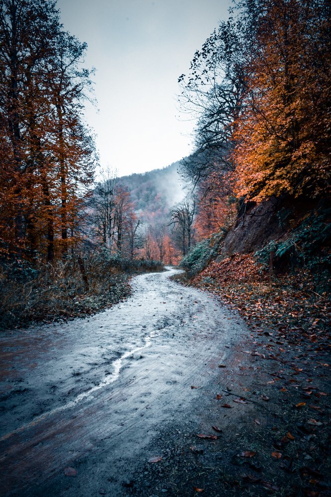 Autumn Road to Heaven