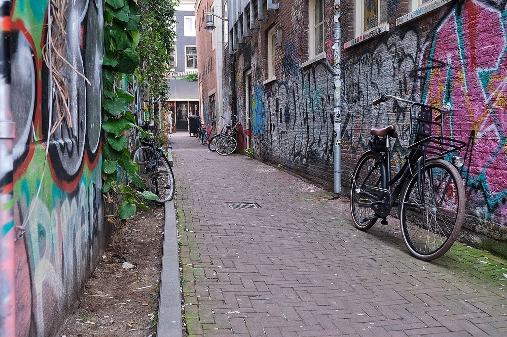 Photograph by Masha Turova