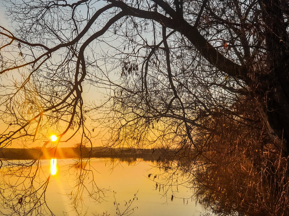 Photograph by mikhail goryachev