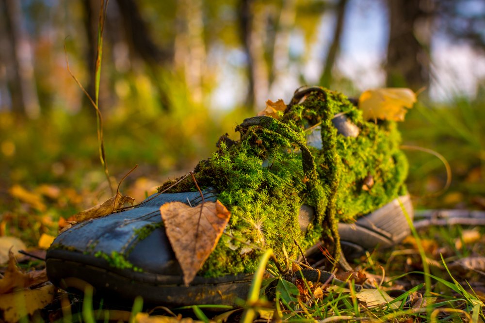 Photograph by Жданов Дмитрий