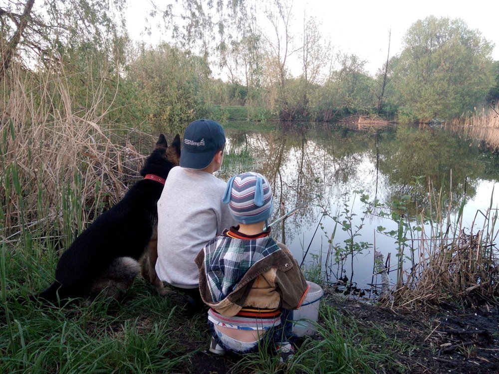 Photo #3935892