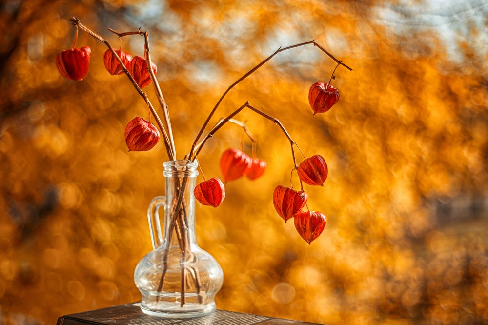 Photograph by Анастасия Третьякова