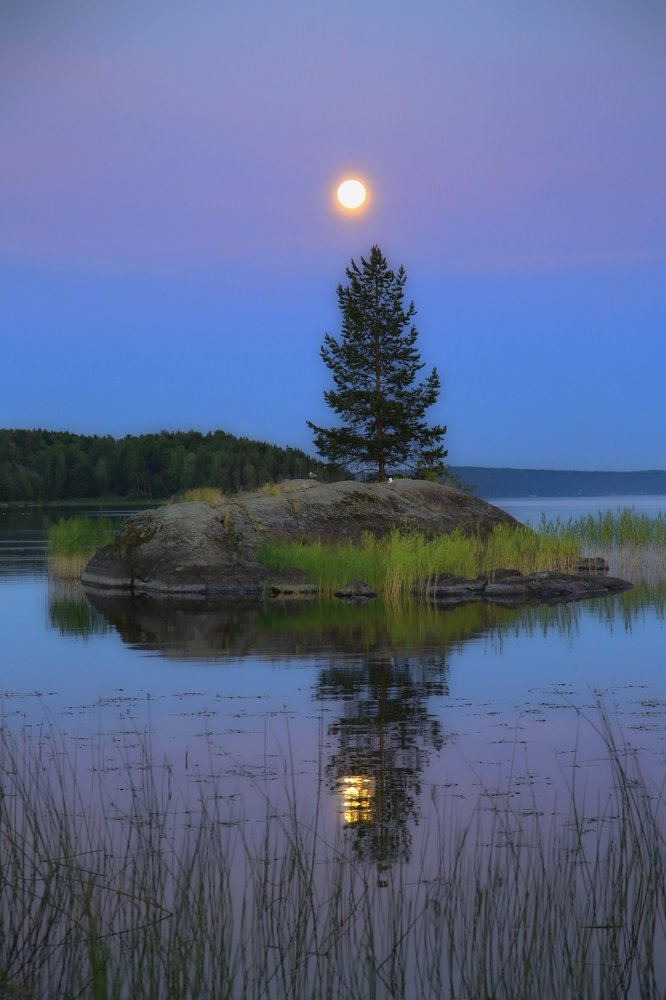 Photograph by Дмитрий Петухов