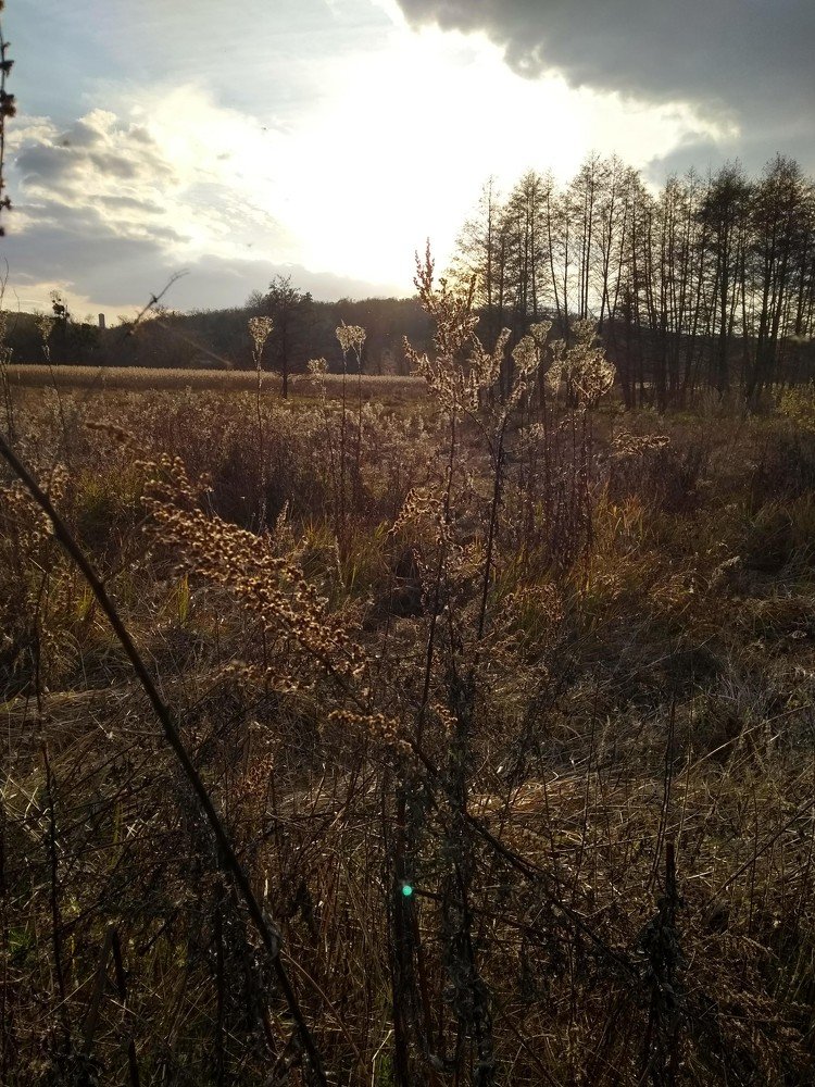 Photograph by Алина Ляш