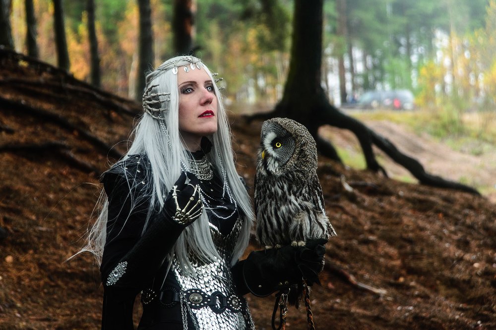 Фотография автора Александр Ершов