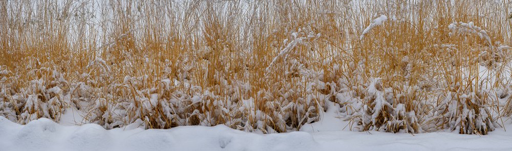 Фотография автора Владимир Пронин