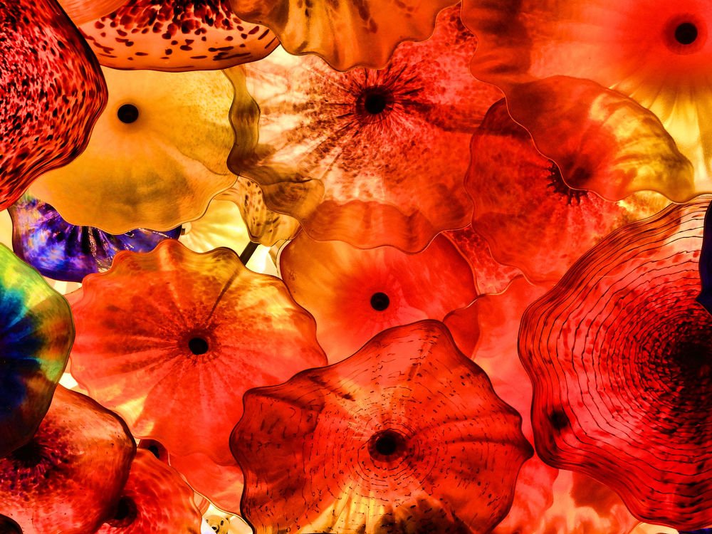 Photograph by Celina CelyTessy