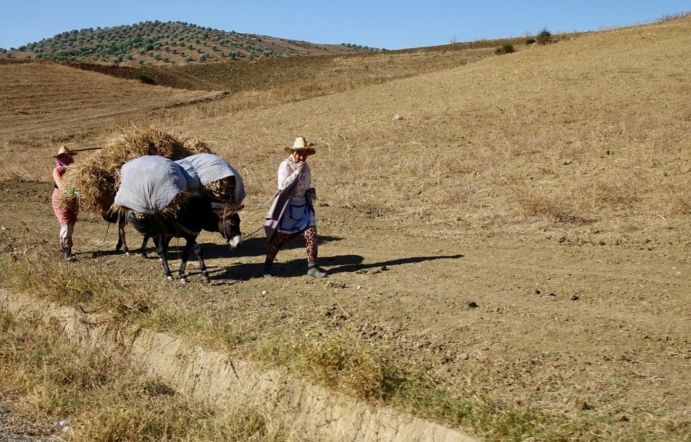 Photograph by Наталья Пирогова