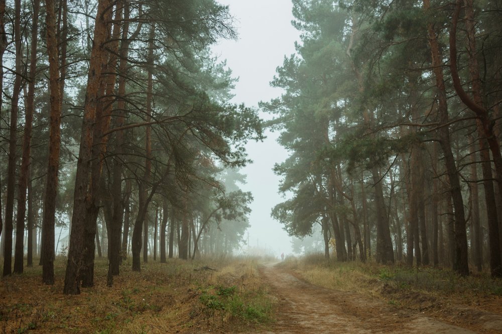 Туман отступает