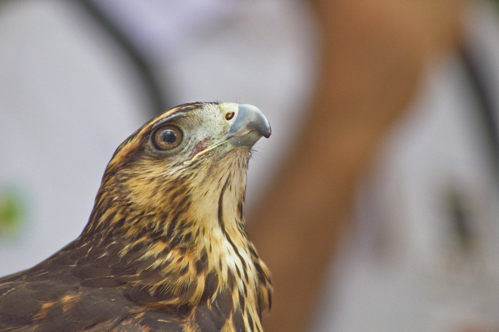 Photograph by Luiz Gomes