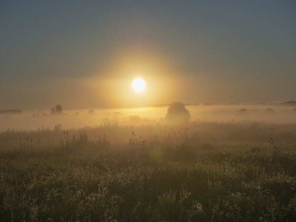 Photograph by Андрей Ныриков