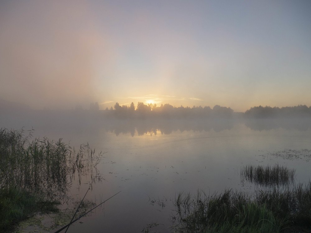 Photograph by Андрей Ныриков