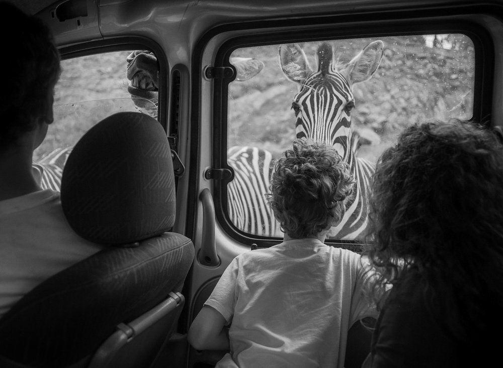 Photograph by Надя Броди