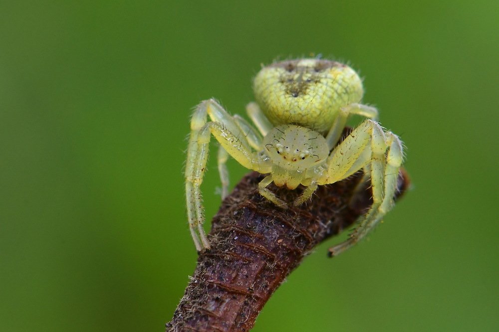 Photograph by Moura Denis