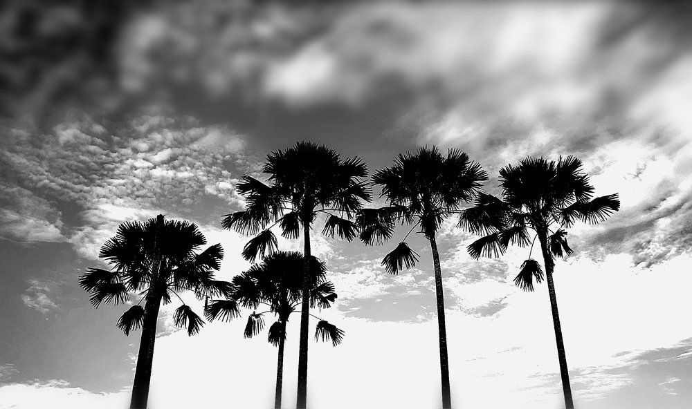 Photograph by Robert Bin dungot