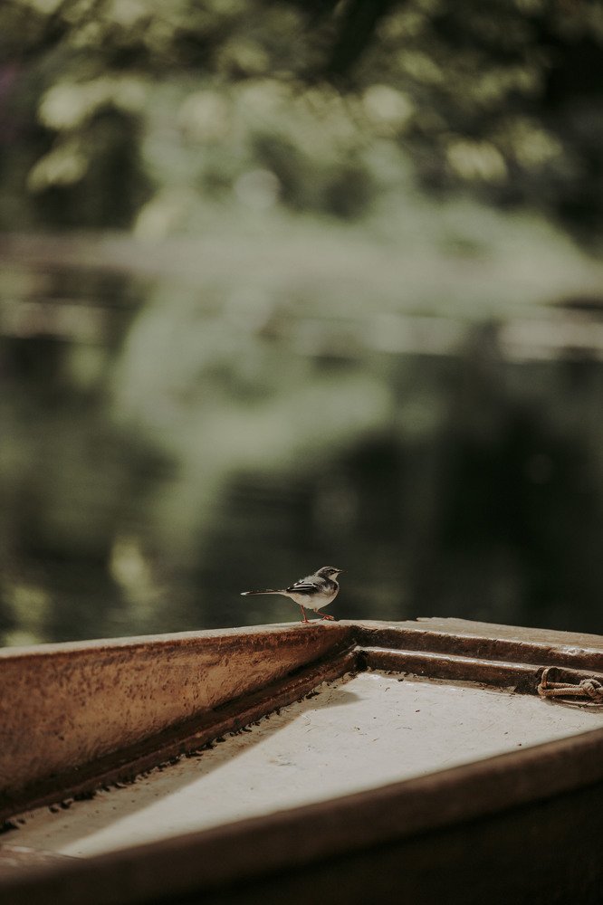 Photograph by twizzy photography 