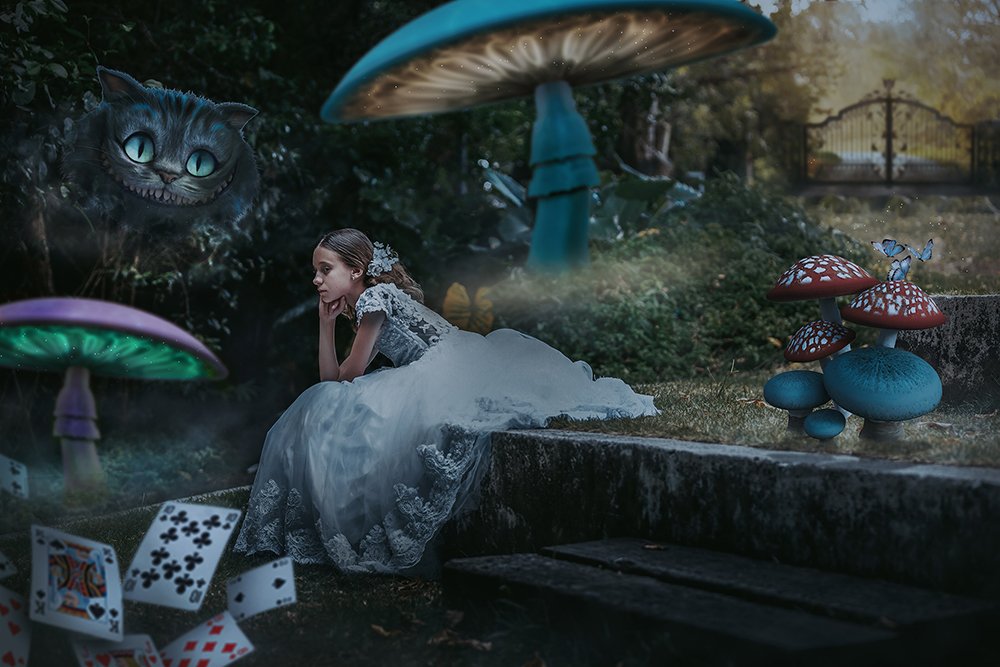 Фотография автора Meg Leite