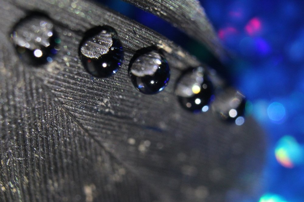 Photograph by Дарья Околова