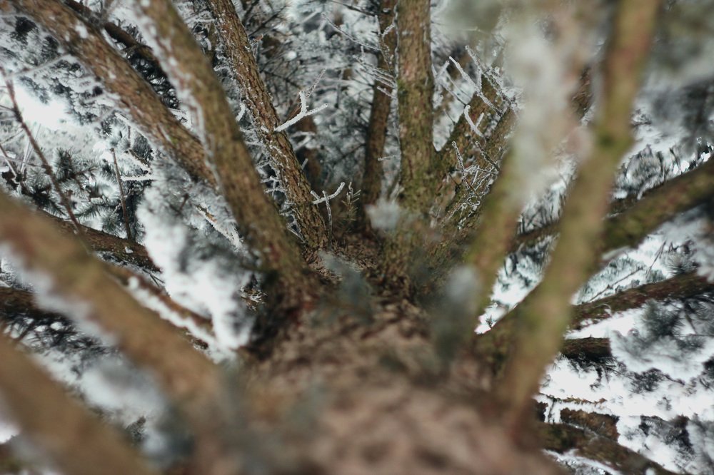 Photograph by Дарья Околова