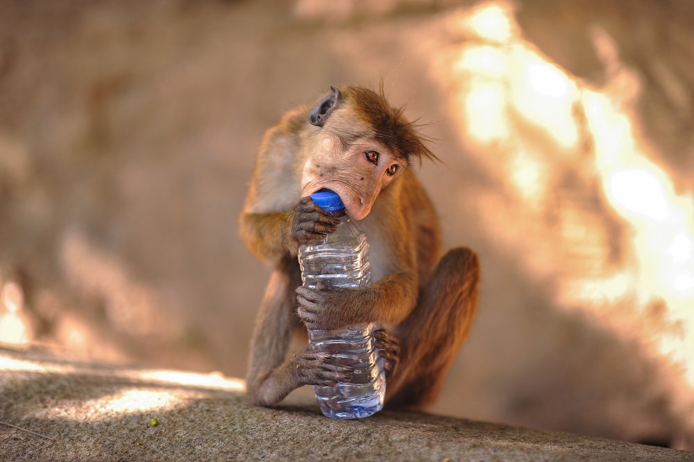 Photograph by Евгения Тимощенко