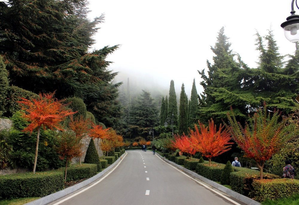 Photograph by Татьяна Пальчикова