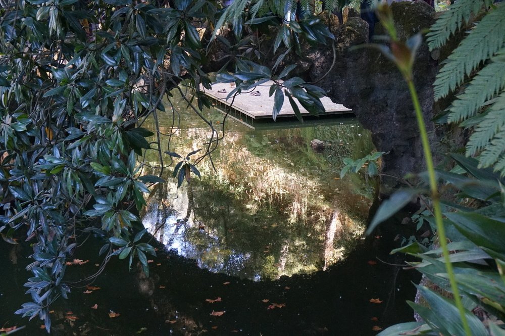 Photograph by Carlos Lobinho