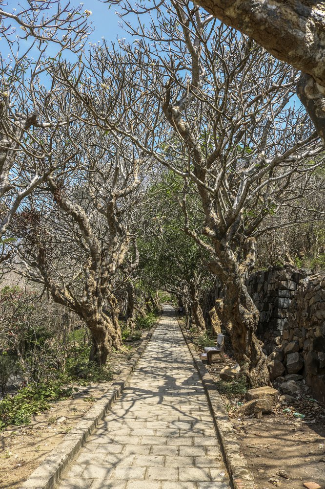 Photograph by Lê Trung Phùng