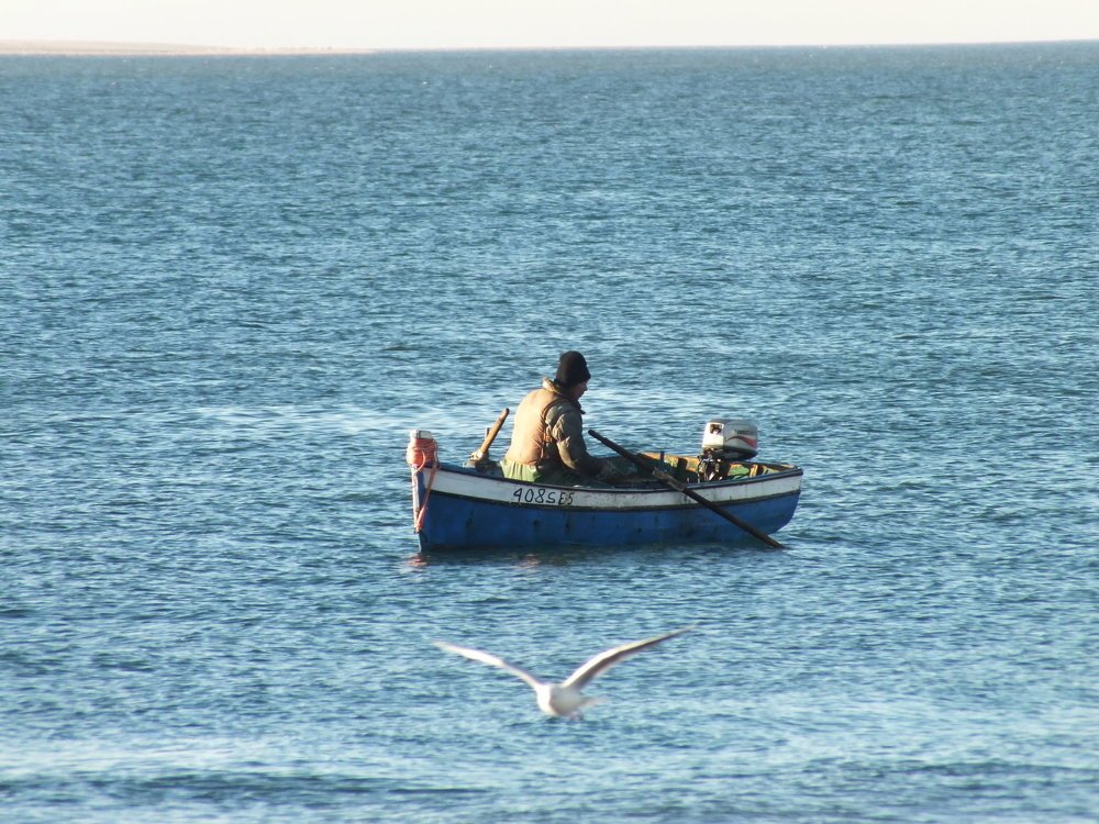 Photograph by Carlos Lobinho