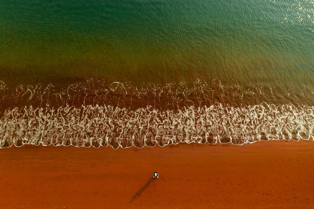 Photograph by Excelsis Joy Cardona Arrieta