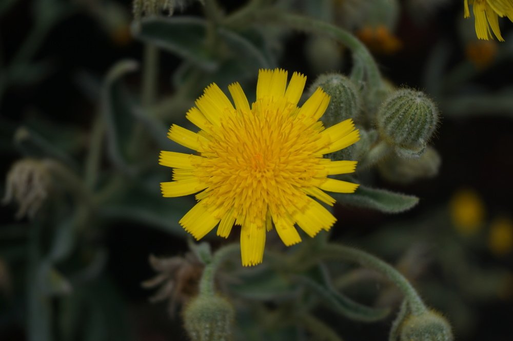 Photograph by Carlos Lobinho