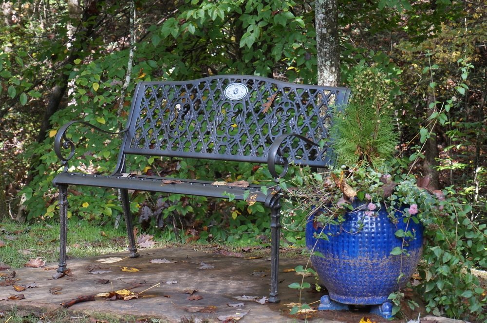 Photograph by Carlos Lobinho