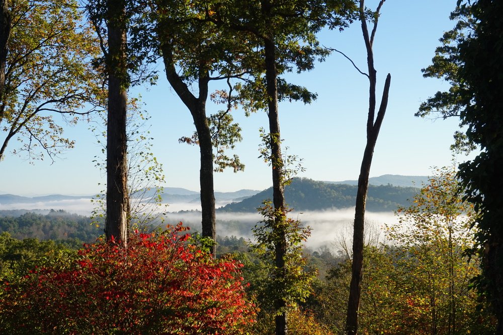 Photograph by Carlos Lobinho