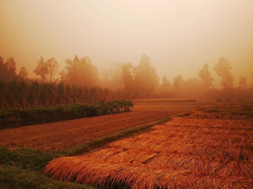 Photograph by Md Abu Sayeed Mondal