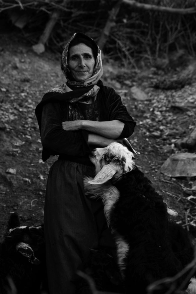 Photograph by Matin Mohammadzadeh