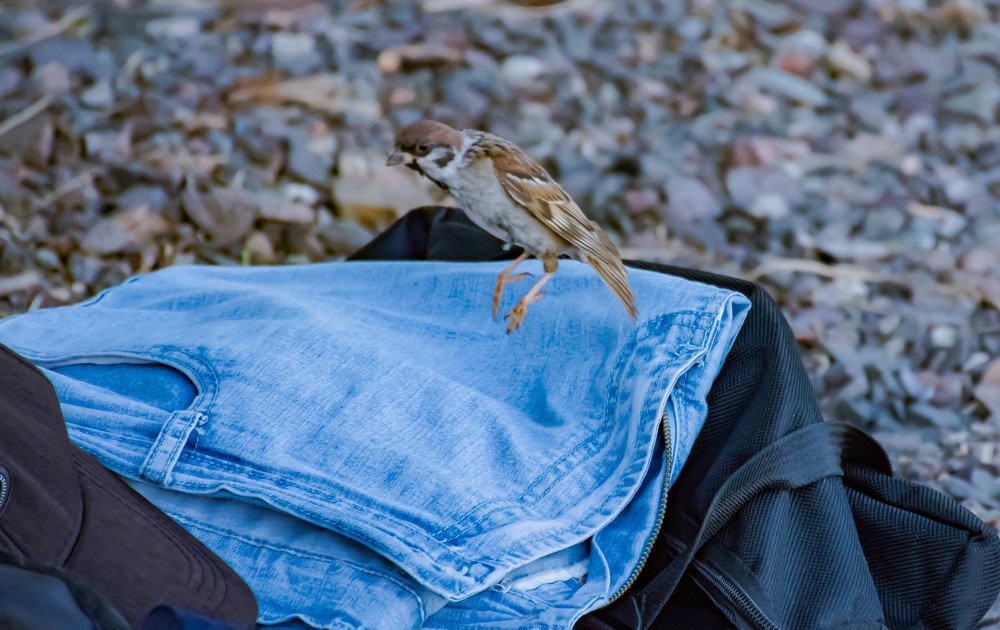 Photograph by Елена Прохорова