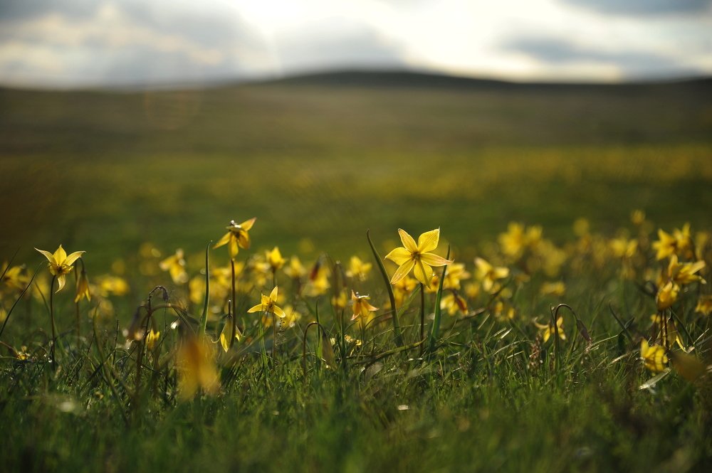 Весна. Пробуждение