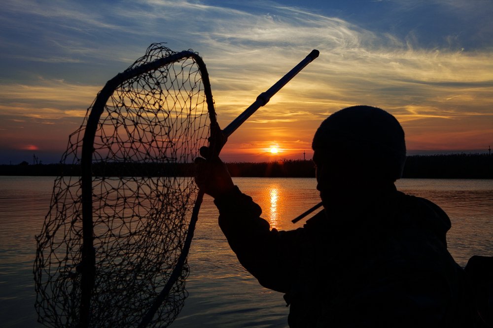 Photograph by victoria chaikova