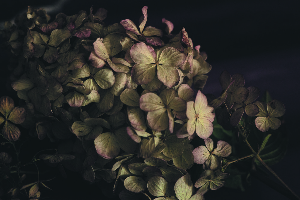 Photograph by victoria chaikova