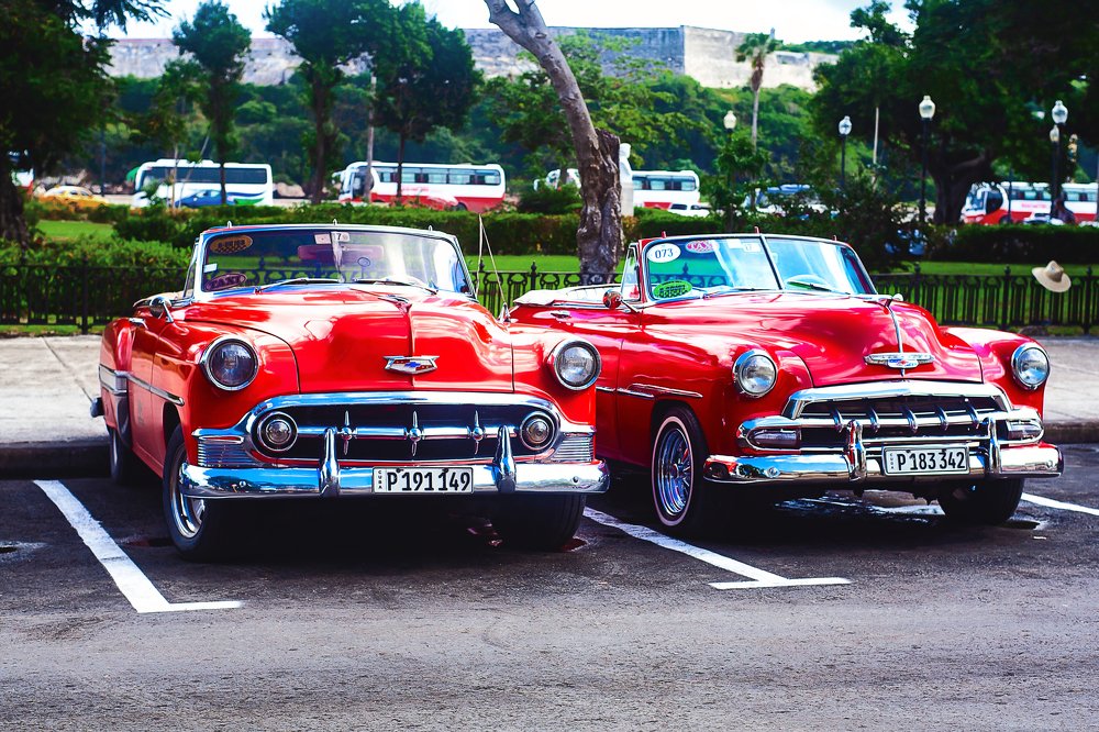 Photograph by victoria chaikova