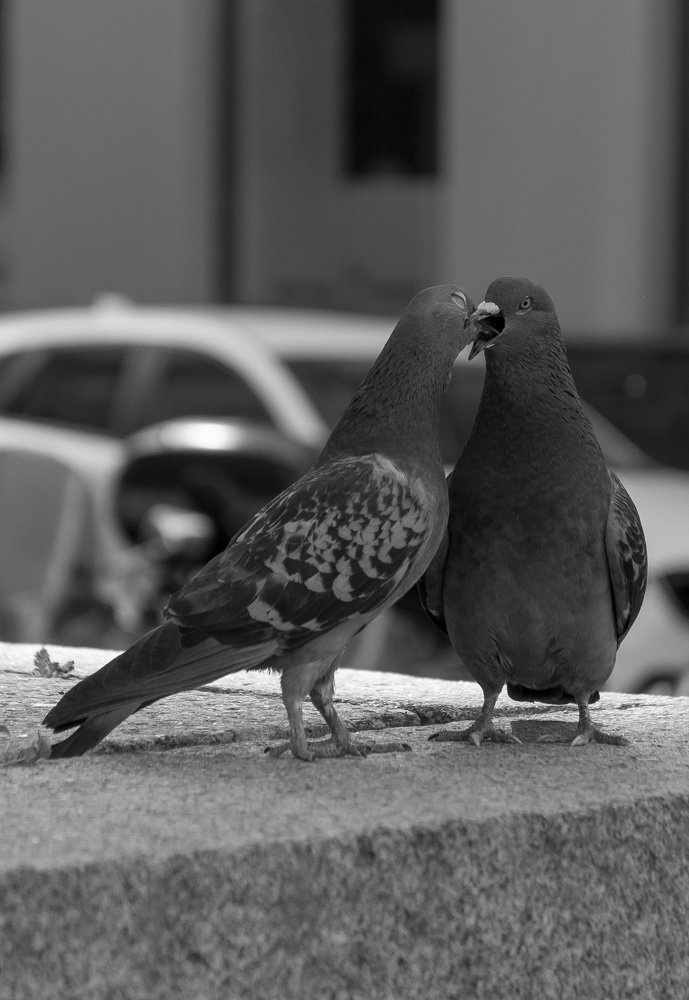 Фотография автора Евгений Демидов