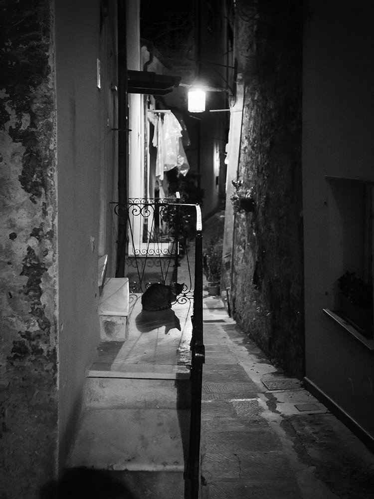 Photograph by Владислав