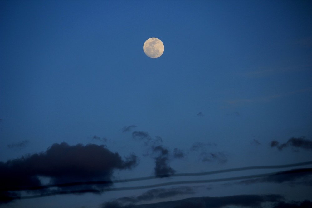 Фотография автора Homayoon Sarwari