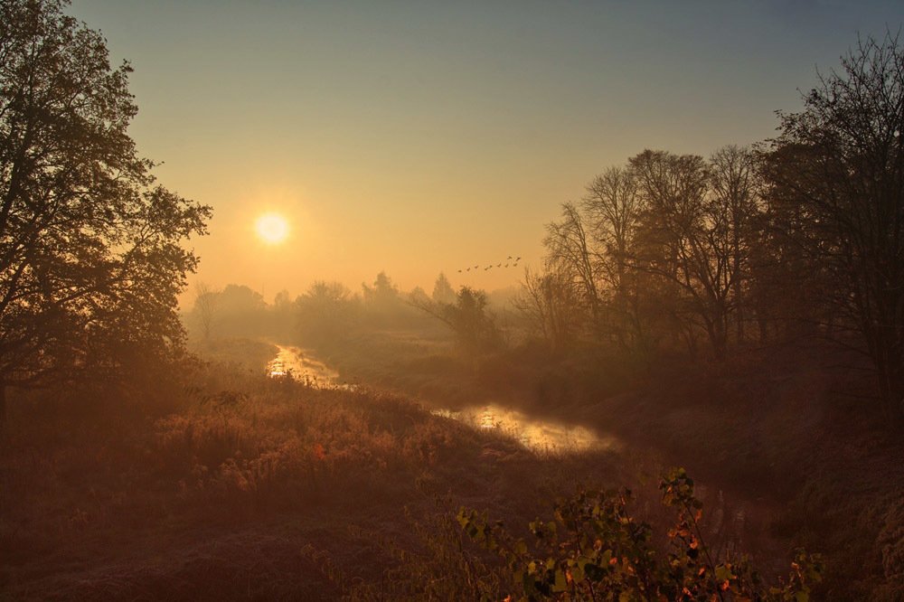 Фотография автора Ewa Lamond
