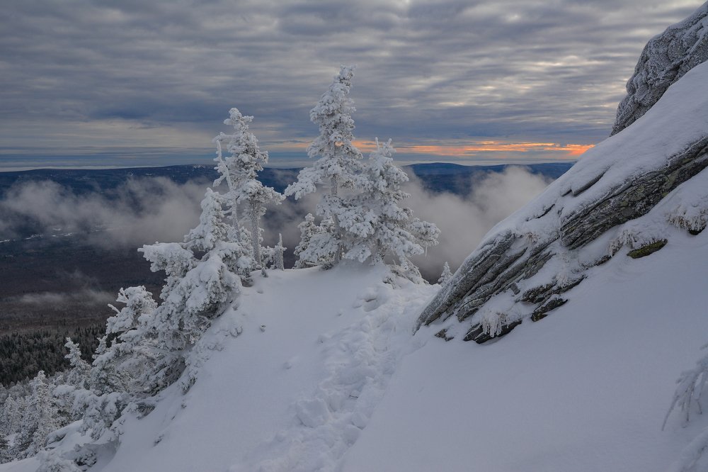 Зимняя тропа