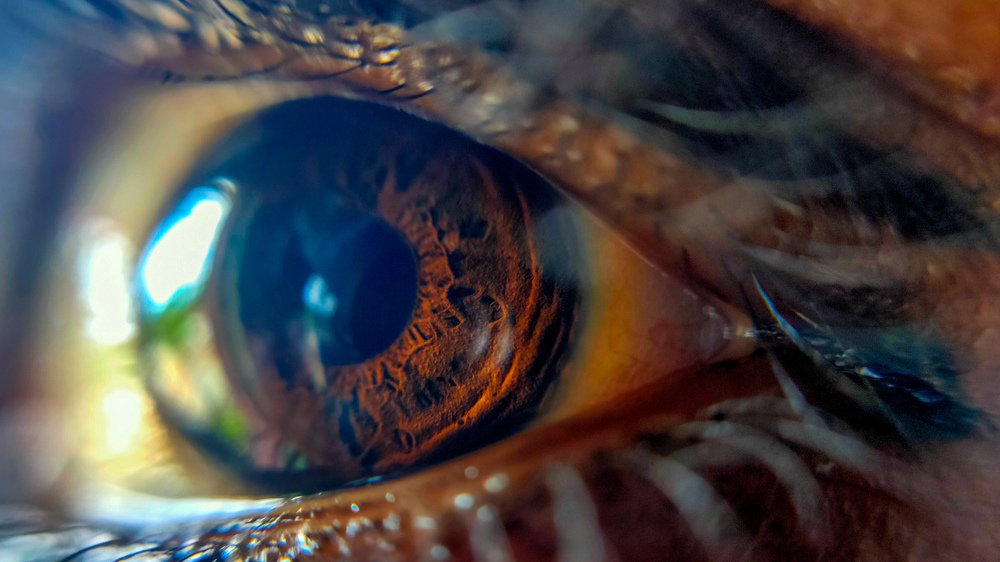 Photograph by T V Arun