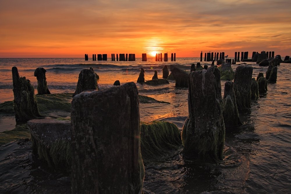 Фотография автора Ewa Lamond